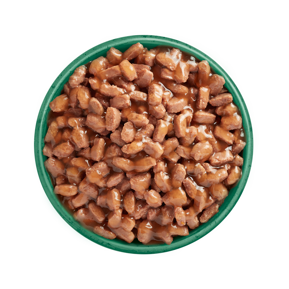 Senior 11+ Turkey in Gravy Grain Free Wet Cat Food Pouches 48 pouches