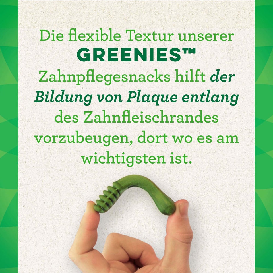 Greenies Petite Dogs Treat Original