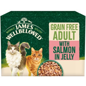 Adult Salmon in Jelly Grain Free Wet Cat Food Pouches