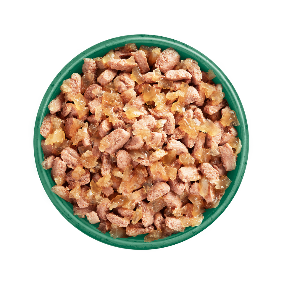 Adult Salmon in Jelly Grain Free Wet Cat Food Pouches 48 pouches