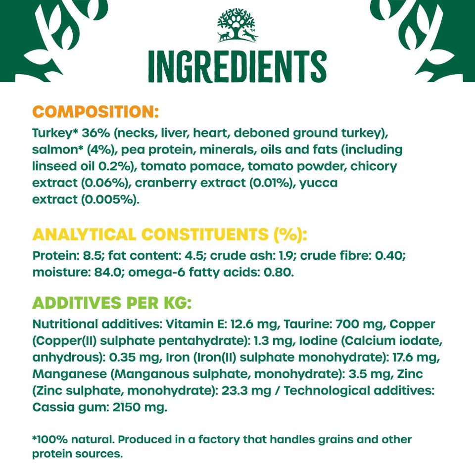 Adult Salmon in Jelly Grain Free Wet Cat Food Pouches 48 pouches