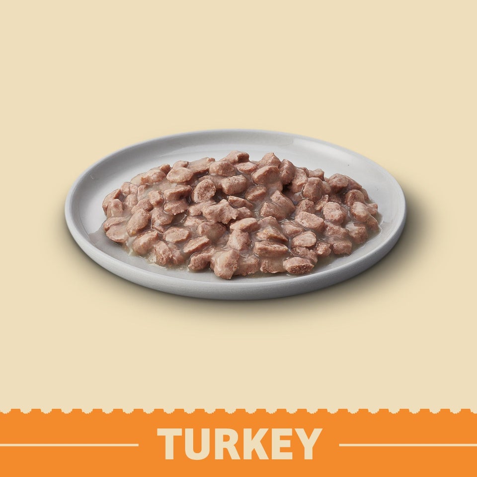 Kitten Turkey in Gravy Grain Free Wet Cat Food Pouch
