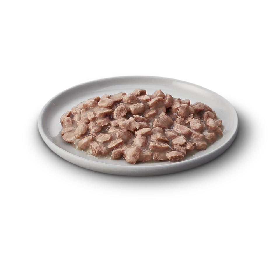 Kitten Turkey in Gravy Grain Free Wet Cat Food Pouch 12 pouches