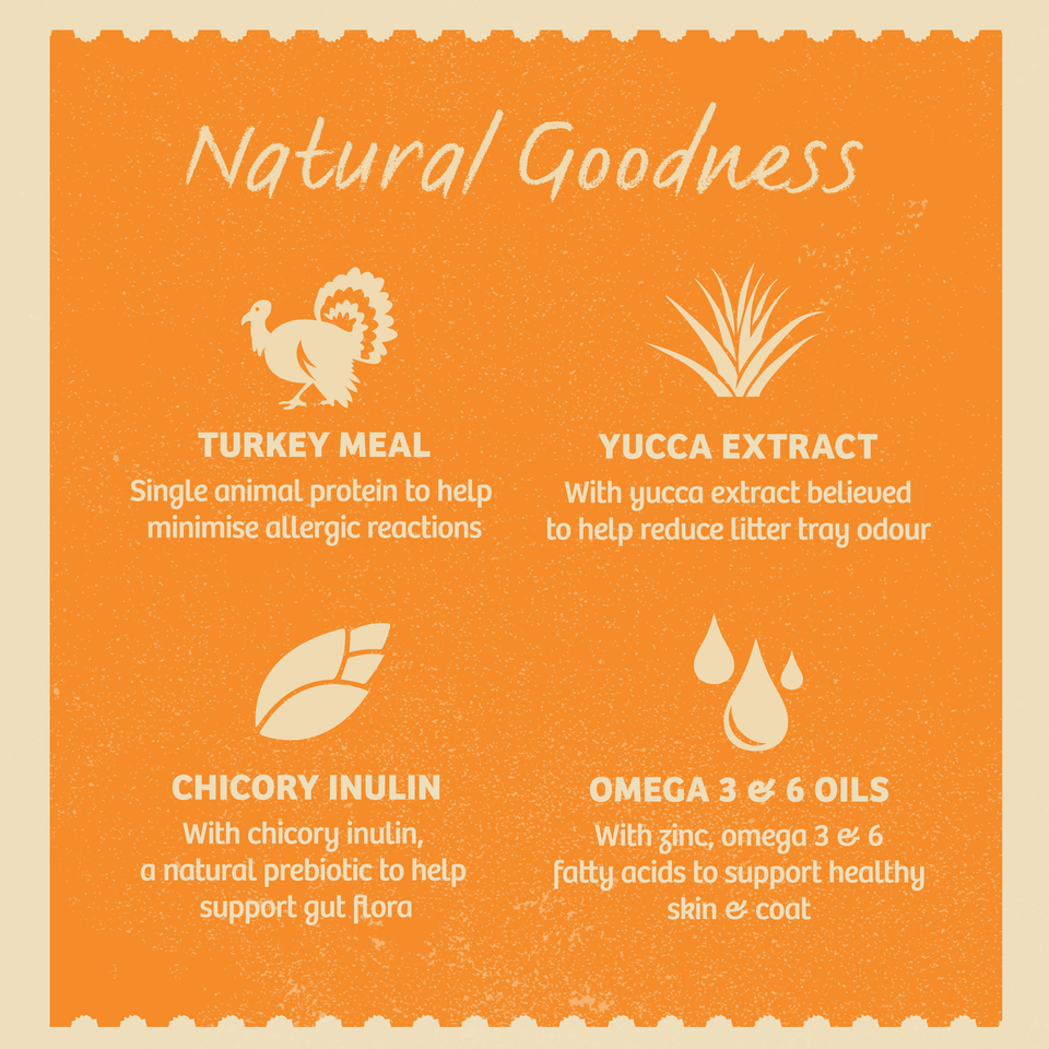 Kitten Turkey in Gravy Grain Free Wet Cat Food Pouch 12 pouches