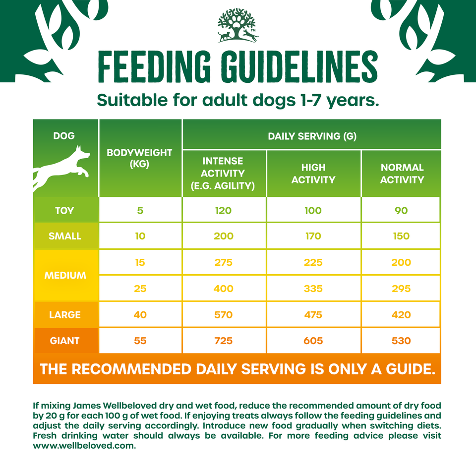 Adult Chicken & Turkey High Protein Dry Dog Food 10kg