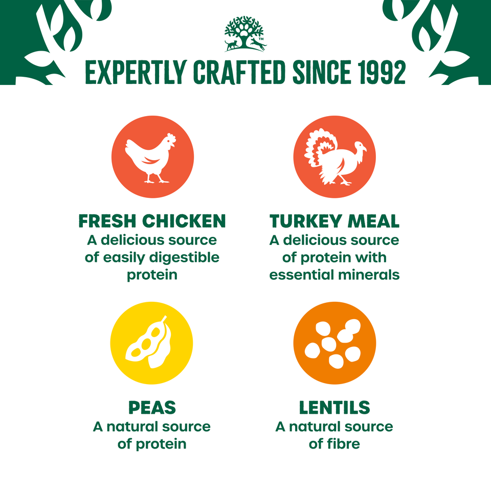 Adult Chicken & Turkey High Protein Dry Cat Food 16kg