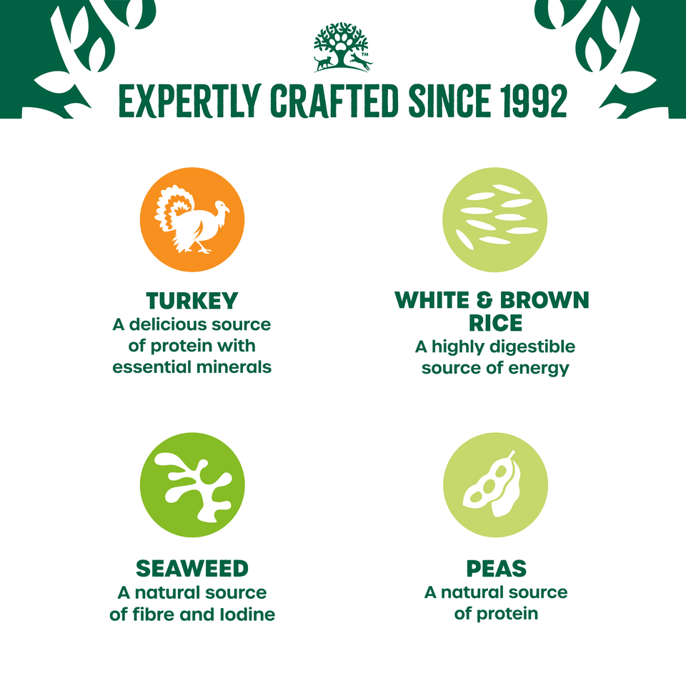 Adult Turkey & Rice in Gravy Wet Dog Food Pouches 48 pouches