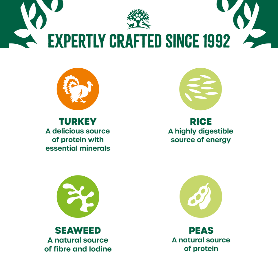 Adult Turkey & Rice in Loaf Can Wet Dog Food 12 cans