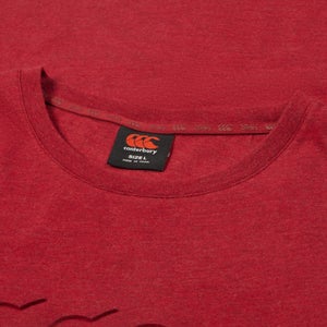 Adult Unisex British & Irish Lions Monument Tee Red