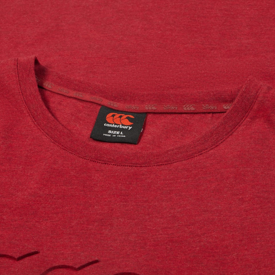 Adult Unisex British & Irish Lions Monument Tee Red