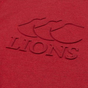 Adult Unisex British & Irish Lions Monument Tee Red