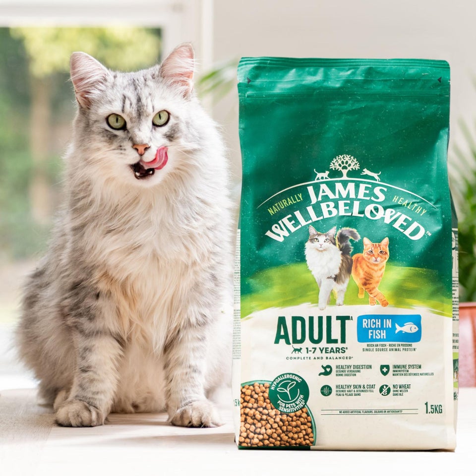 Hipoalergiczna Sucha Karma dla Dorosłych Kotów Bogata w Rybę