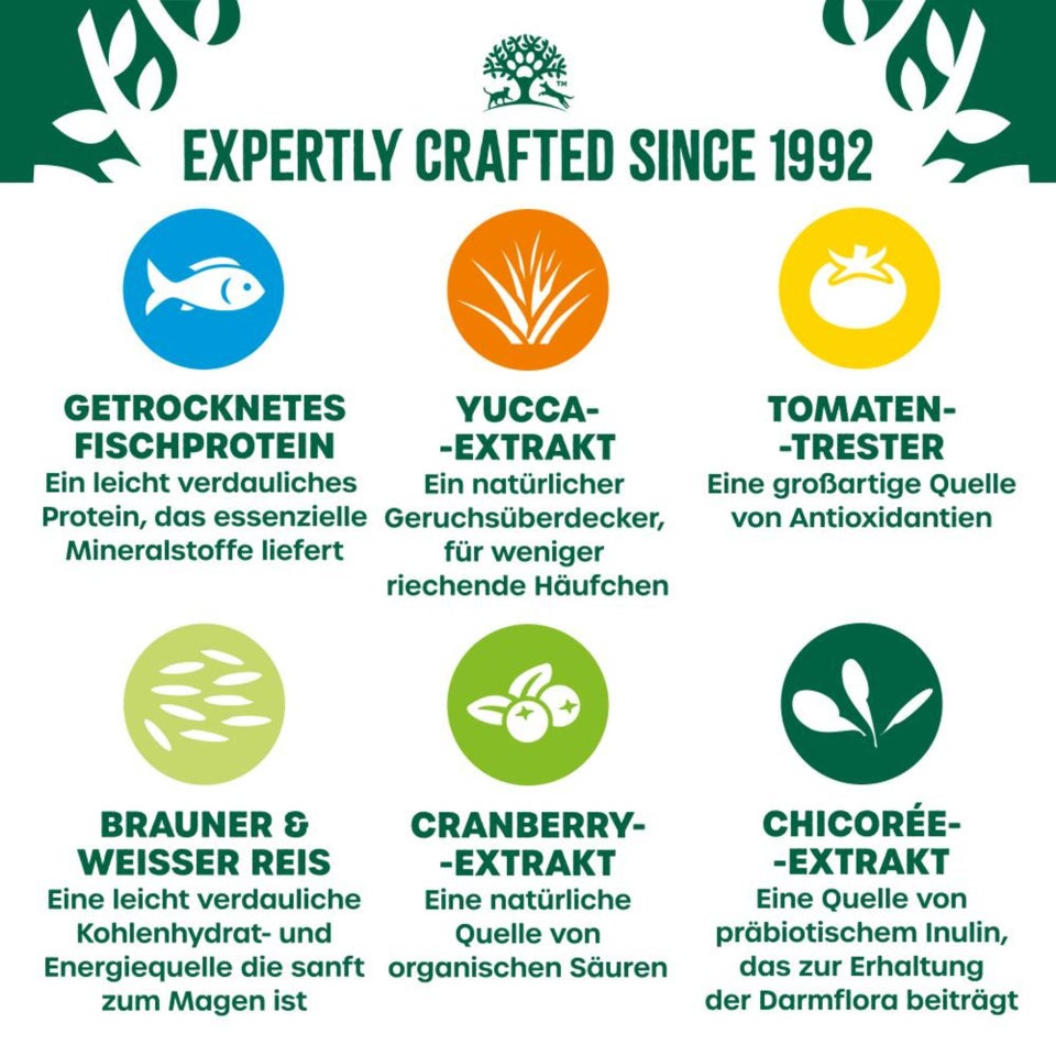 Adult Katze Trocken reich an Fisch 4kg