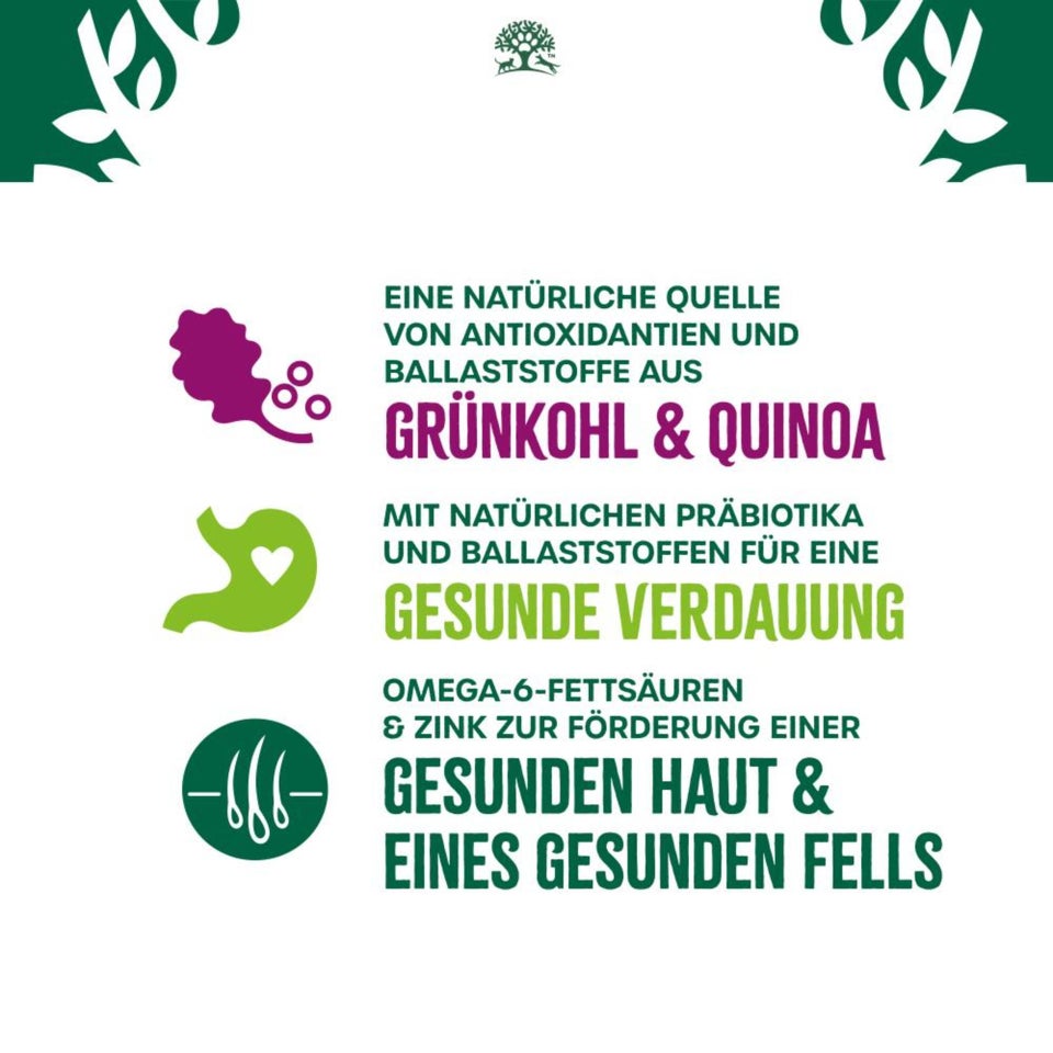 Superfoods Adult Hund Trocken reich an Truthahn mit einer Mischung aus Grünkohl & Quinoa 1,5kg