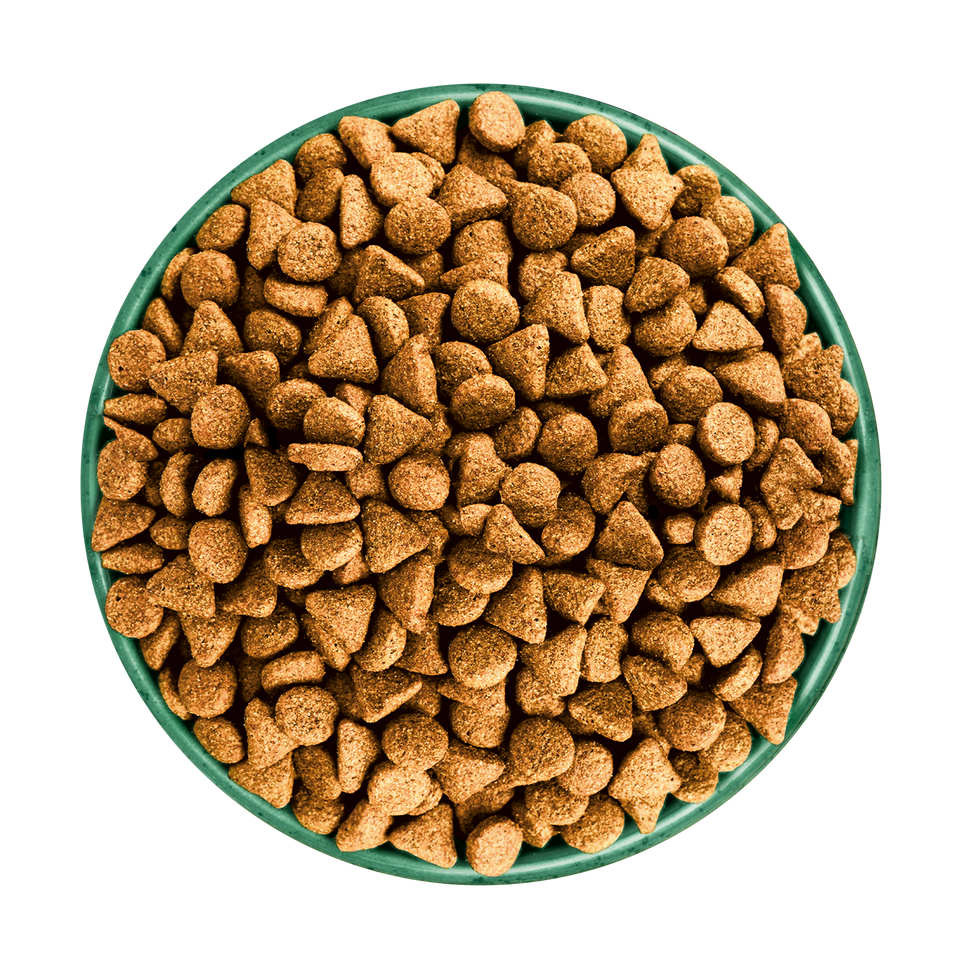 Adult Turkey With Kale & Quinoa Dry Dog Superfoods 1.5kg