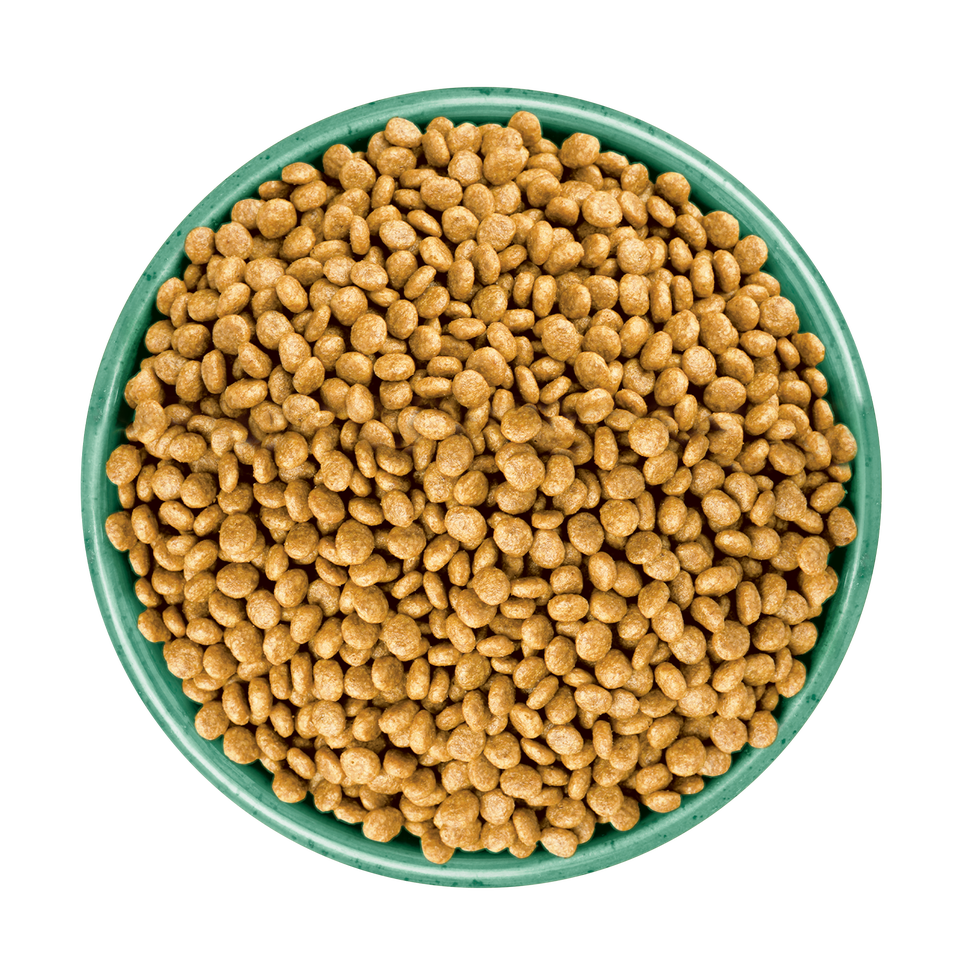 Adult Turkey & Veg Grain Free Dry Cat Food