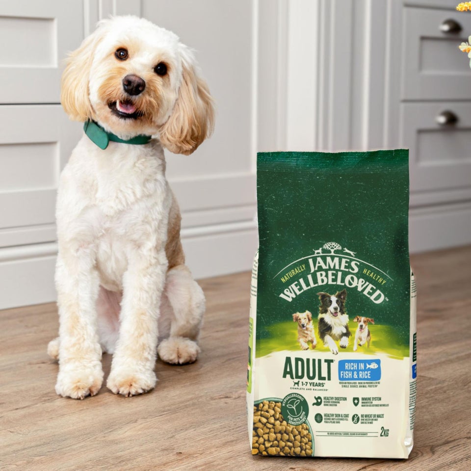 Hipoalergiczna Sucha Karma dla Dorosłych Psów Bogata w Rybę