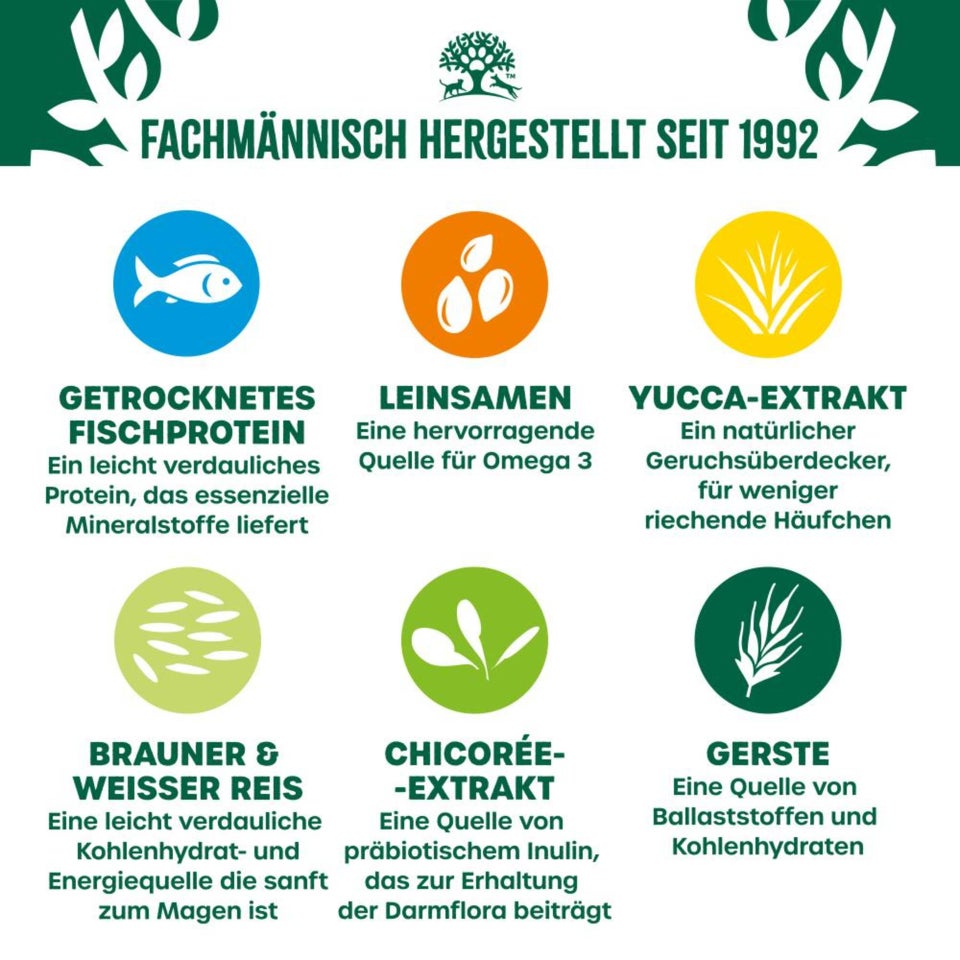 Adult Hund Trocken reich an Fisch & Reis