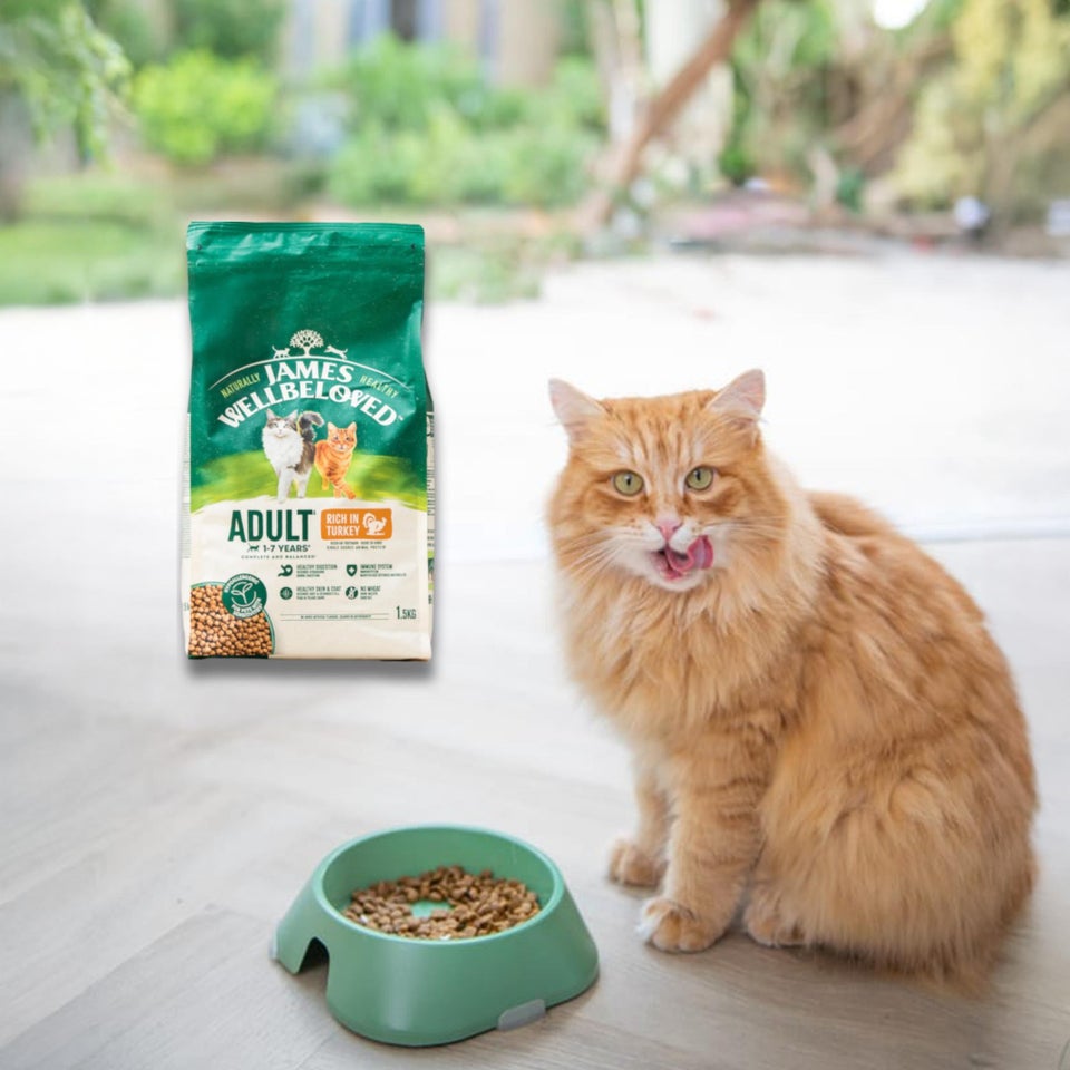 Hipoalergiczna Sucha Karma dla Dorosłych Kotów Bogata w Indyka