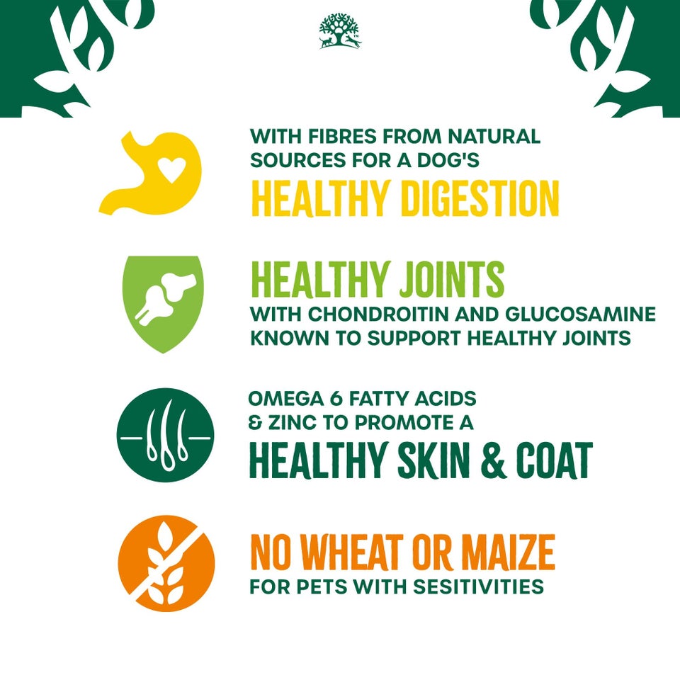 Senior Lamb & Rice Dry Dog Food 2kg