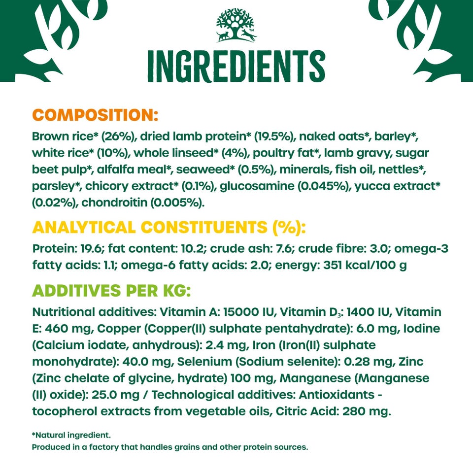 Senior Lamb & Rice Dry Dog Food 2kg