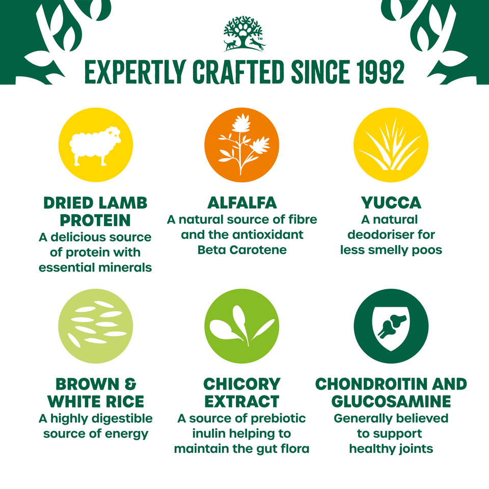 Senior Lamb & Rice Dry Dog Food 2kg