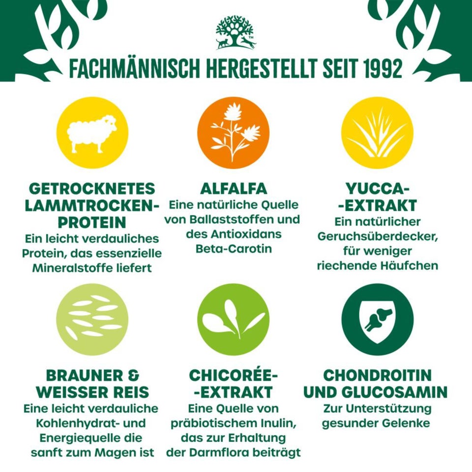 Senior Hund Trocken reich an Lamm & Reis 2kg