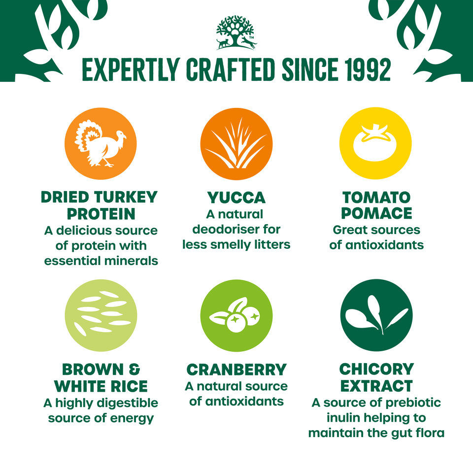 Kitten Turkey & Rice Dry Cat Food 1.5kg