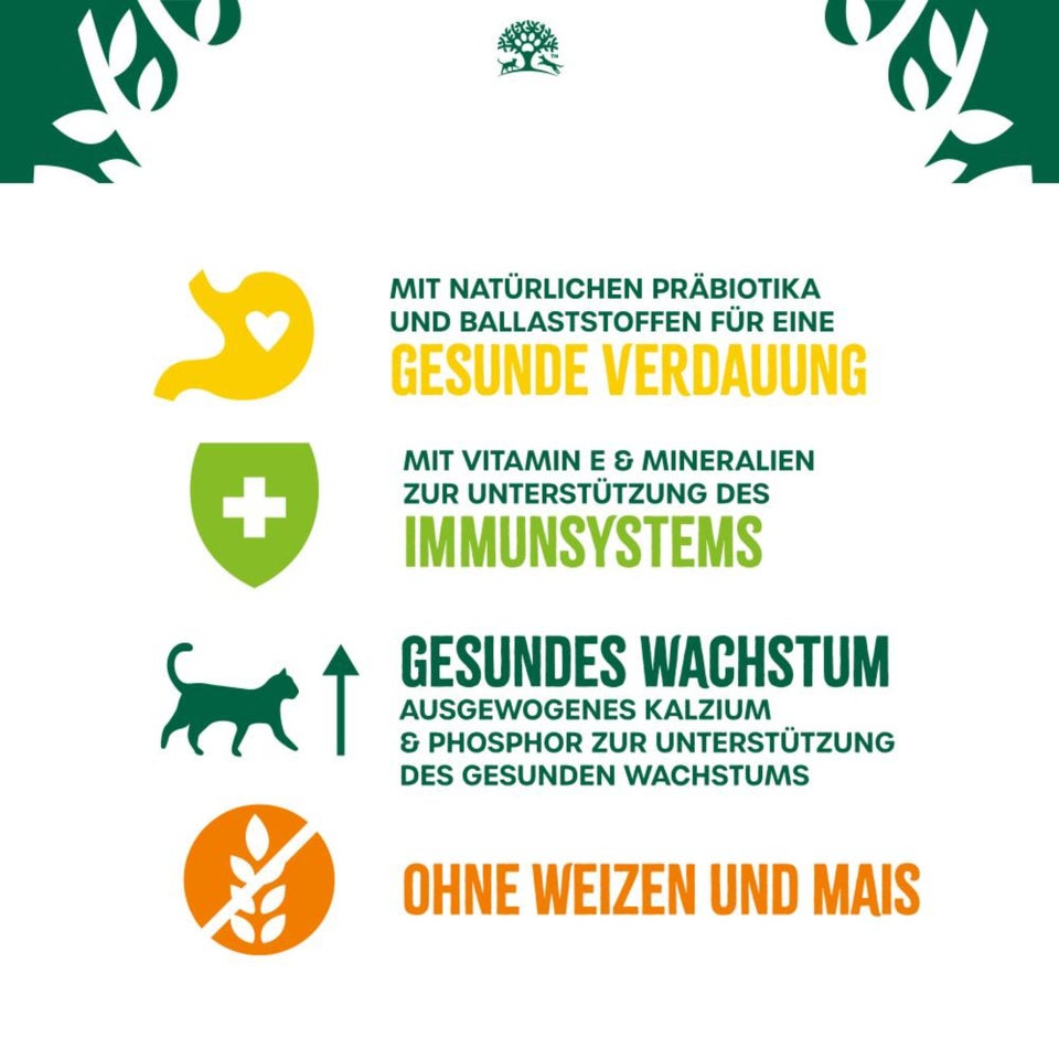 Kitten Trocken reich an Truthahn 1,5kg