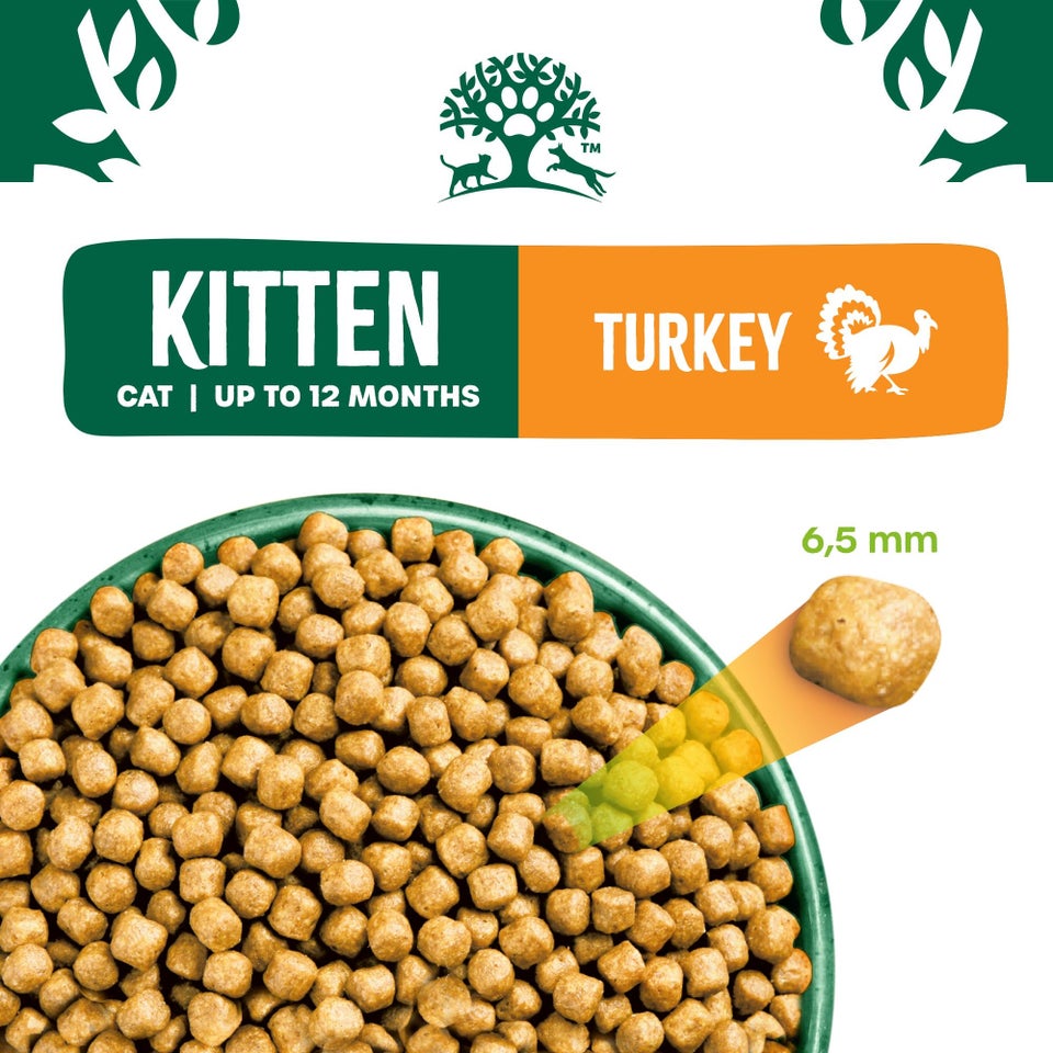 Kitten Turkey & Rice Dry Cat Food