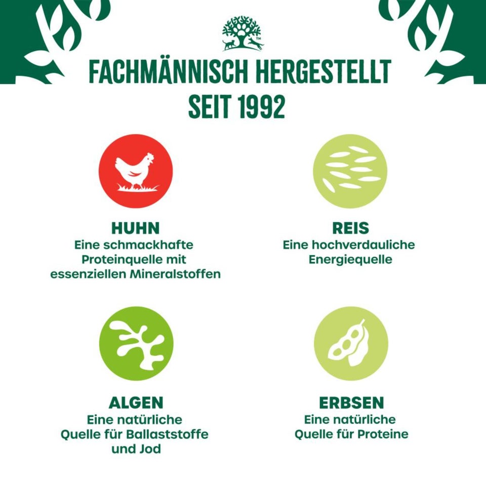 Welpe/Junior Hund Nass Huhn mit Reis & Gemüse in Pastete - 400g Dose