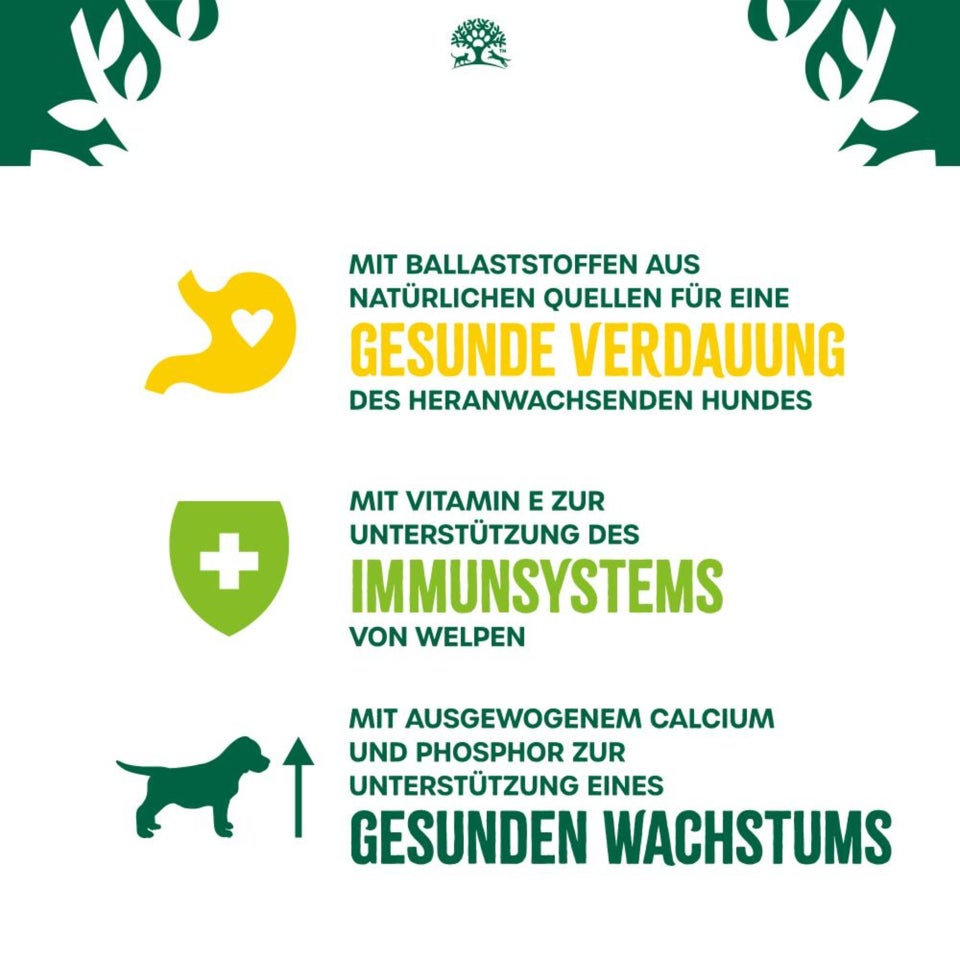 Welpe/Junior Hund Nass Huhn mit Reis & Gemüse in Pastete - 400g Dose