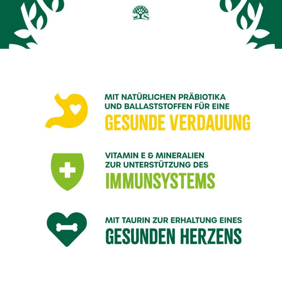 Senior Katze Trocken reich an Truthahn