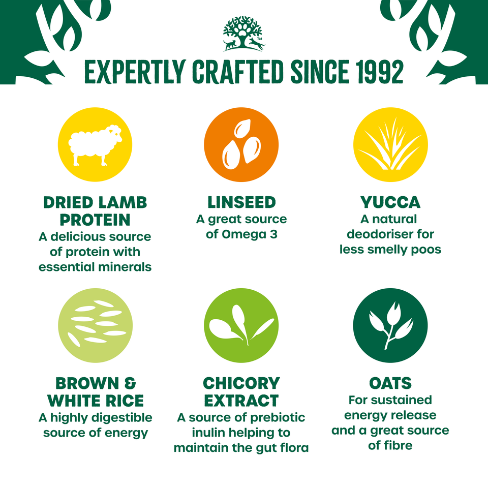 Adult Lamb & Rice Dry Dog Food 2kg