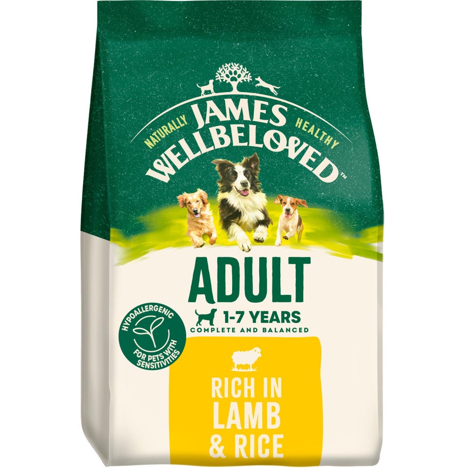 Adult Lamb & Rice Dry Dog Food