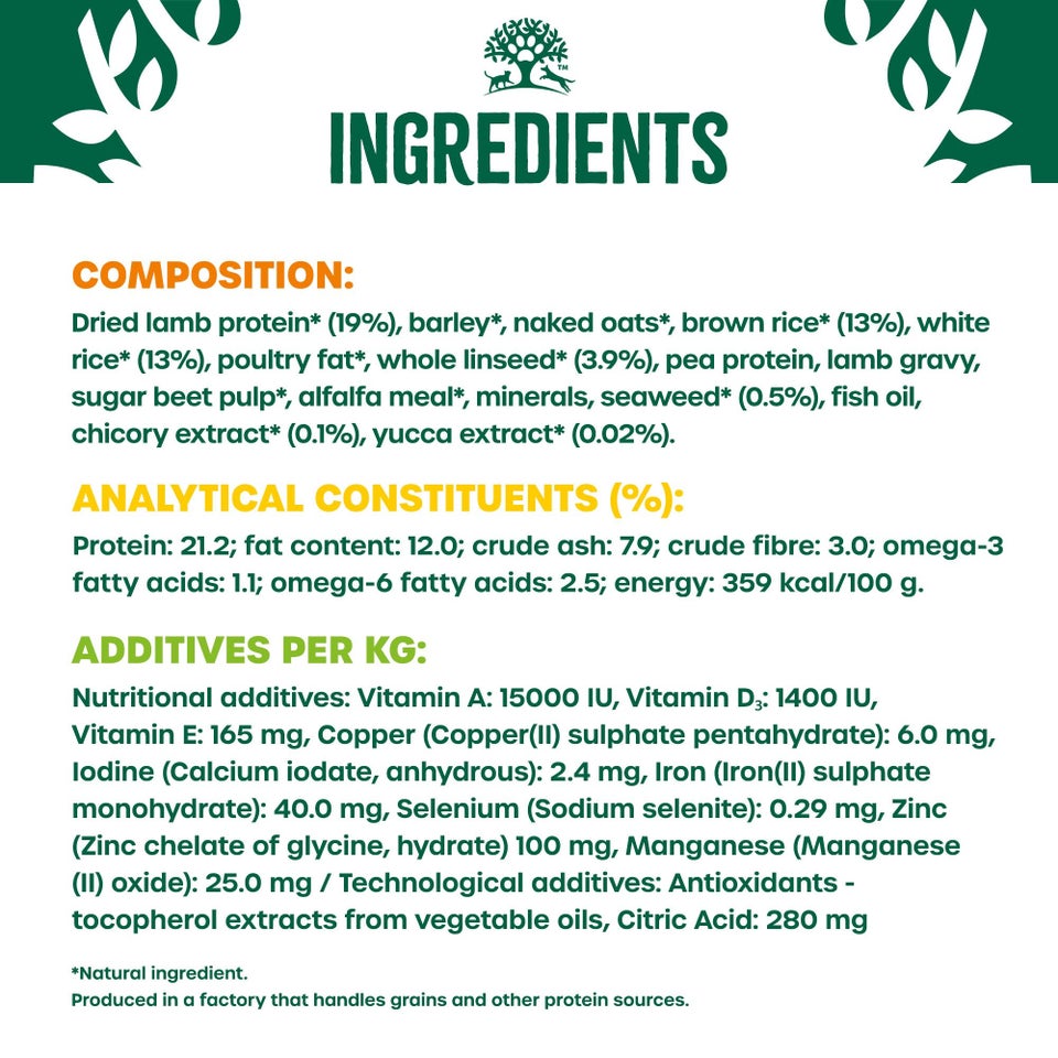 Adult Lamb & Rice Dry Dog Food 2kg