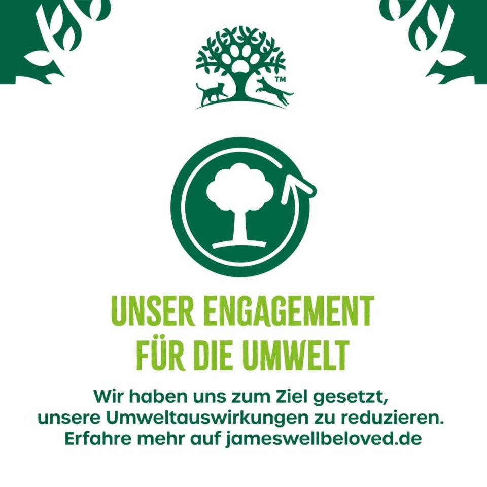 Adult Hund Nass ohne Getreide Truthahn mit Gemüse in Pastete - 400g Dose