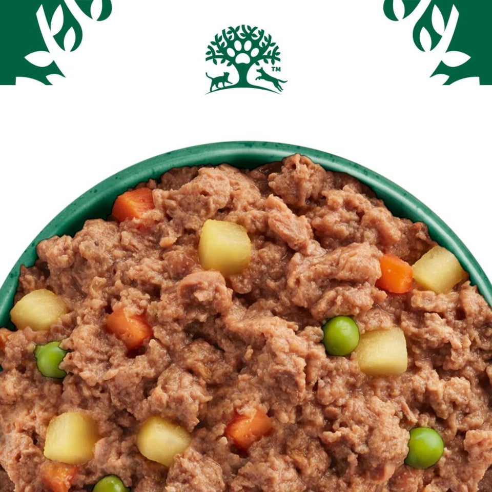 Adult Hund Nass ohne Getreide Truthahn mit Gemüse in Pastete