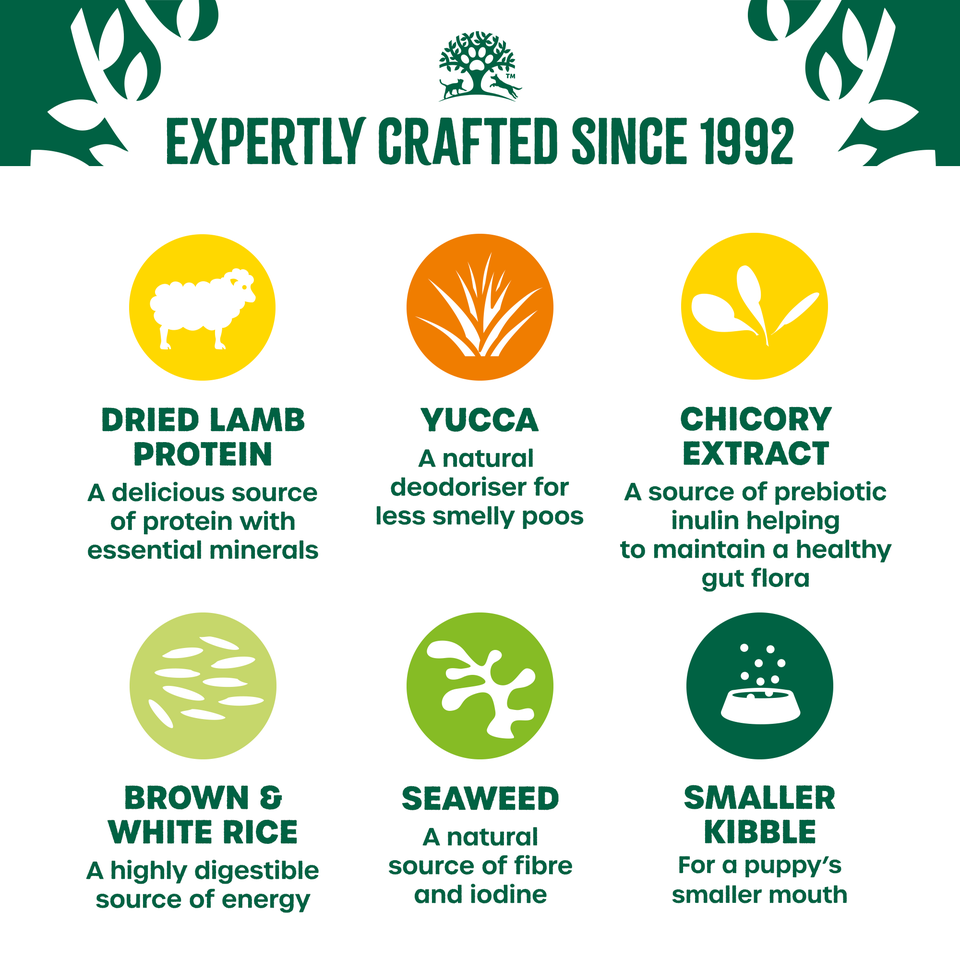 Puppy Lamb & Rice Dry Dog Food 2kg