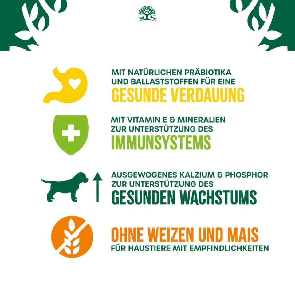 Welpe/Junior Hund Trocken reich an Lamm & Reis 2kg