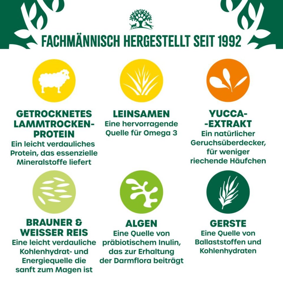 Welpe/Junior Hund Trocken reich an Lamm & Reis 2kg