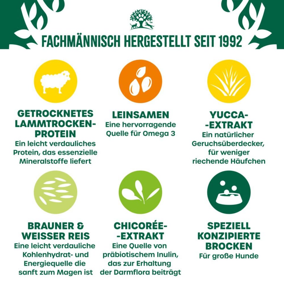 Adult Hund Trocken reich an Lamm & Reis für große Hunde 10kg