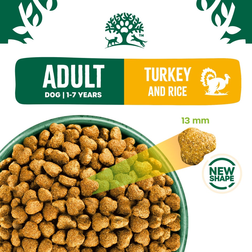 Adult Turkey & Rice Dry Dog Food