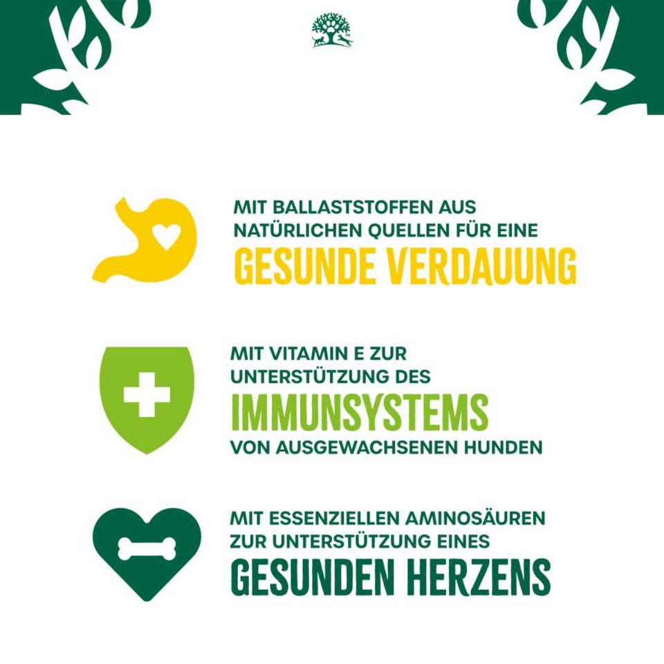 Senior Hund Nass reich an Lamm & Huhn mit Reis & Gemüse in Pastete - 400g Dose