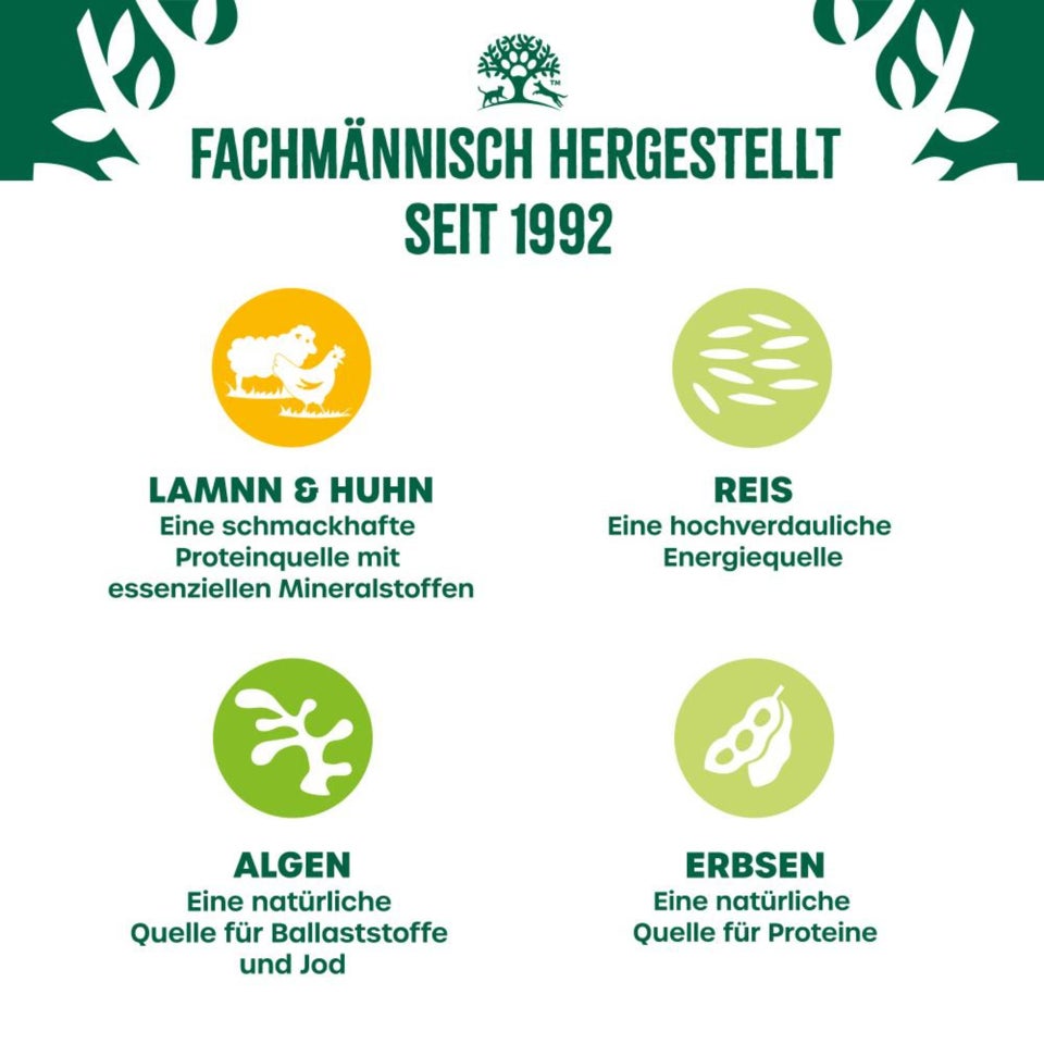 Senior Hund Nass reich an Lamm & Huhn mit Reis & Gemüse in Pastete - 400g Dose