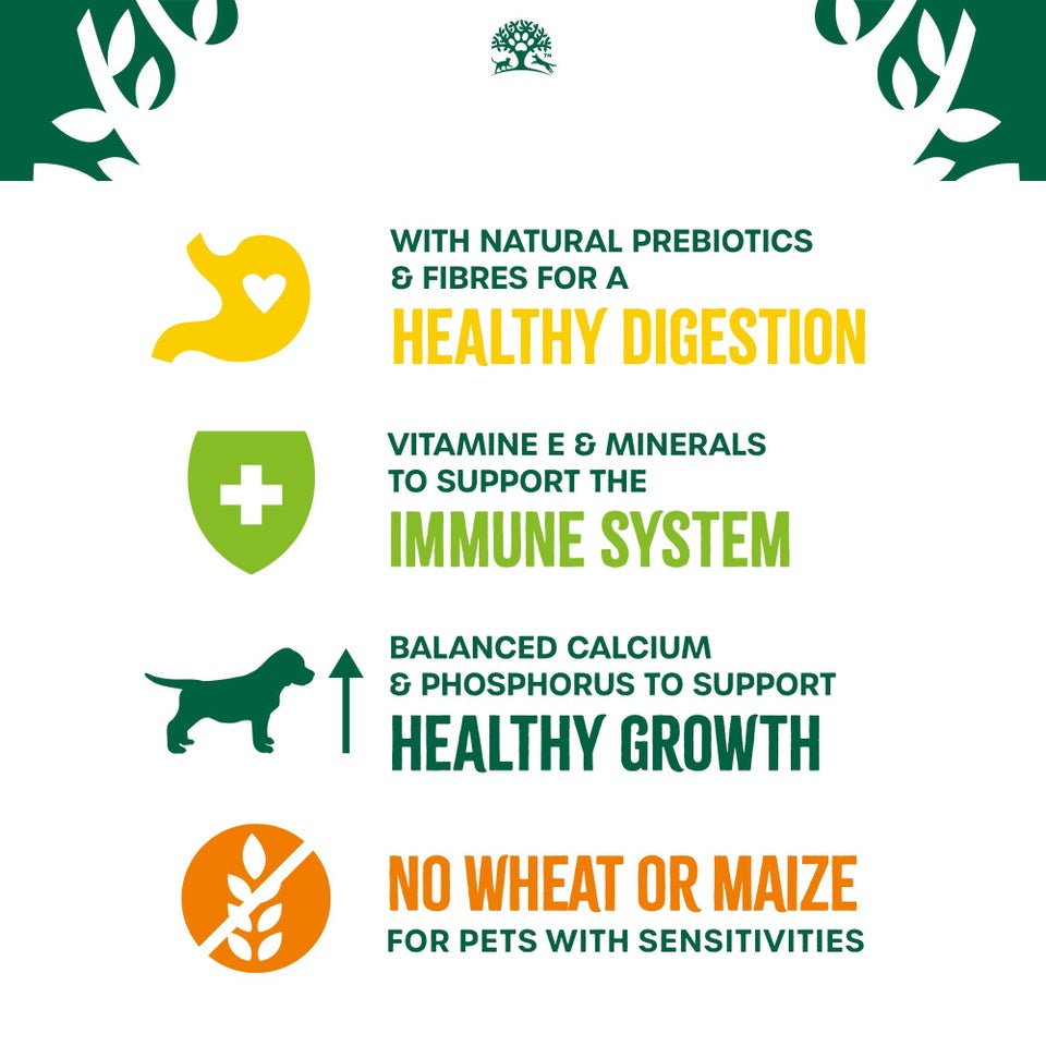 Puppy Turkey & Rice Dry Dog Food