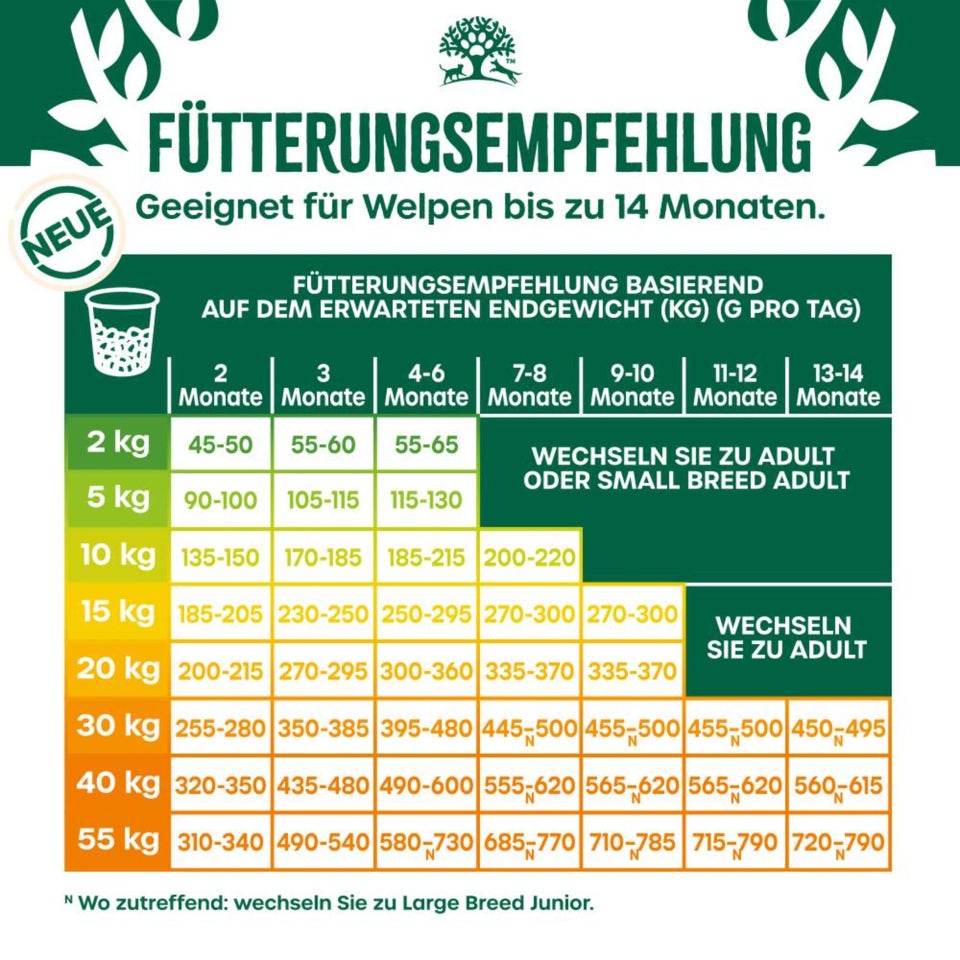 Welpe/Junior Hund Trocken reich an Truthahn & Reis