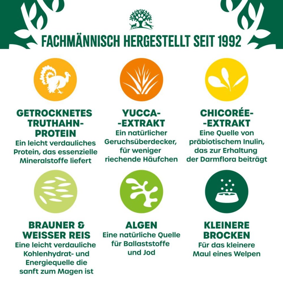 Welpe/Junior Hund Trocken reich an Truthahn & Reis