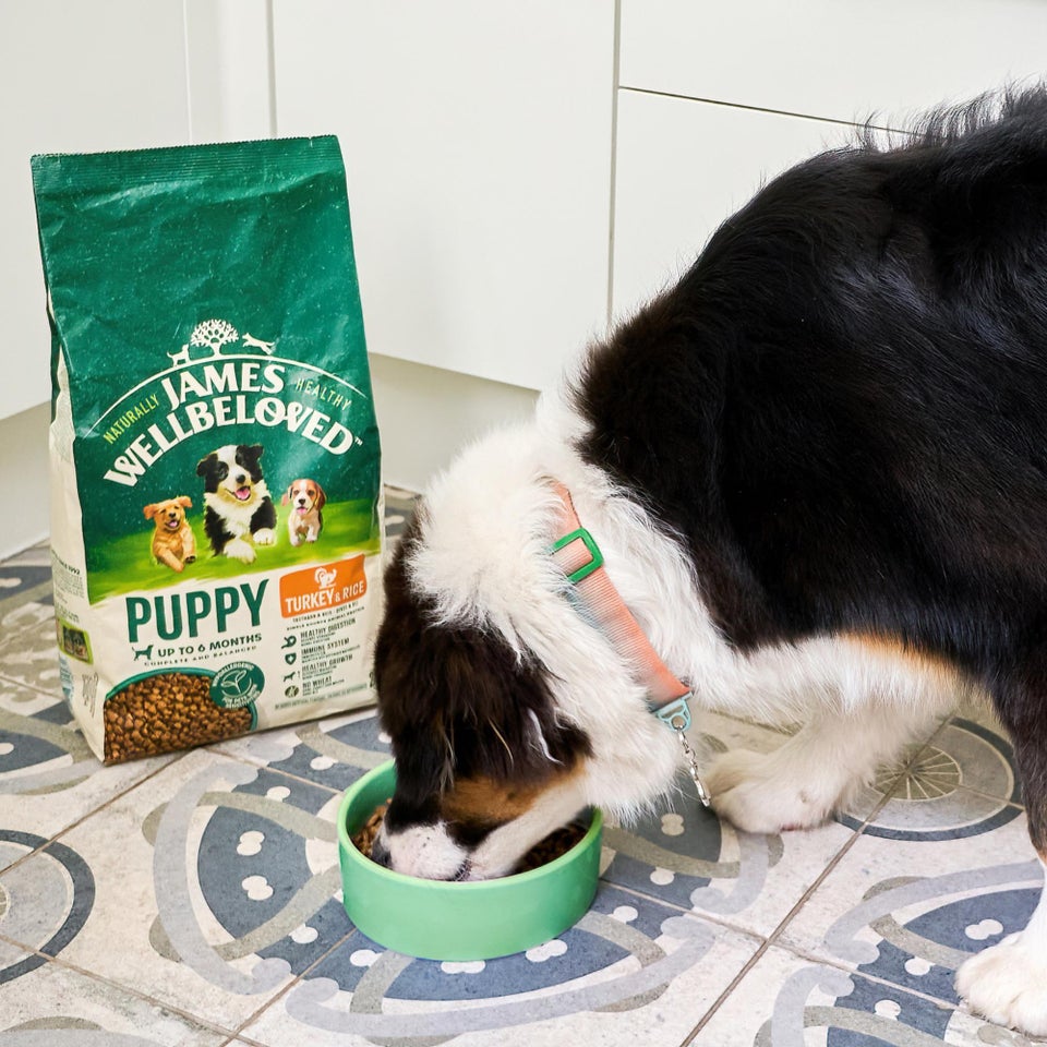 Hipoalergiczna Sucha Karma dla Szczeniąt Bogata w Indyka