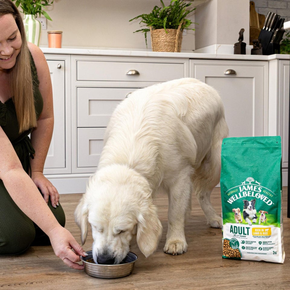 Hipoalergiczna Sucha Karma dla Dorosłych Psów Bogata w Jagnięcinę 2 kg